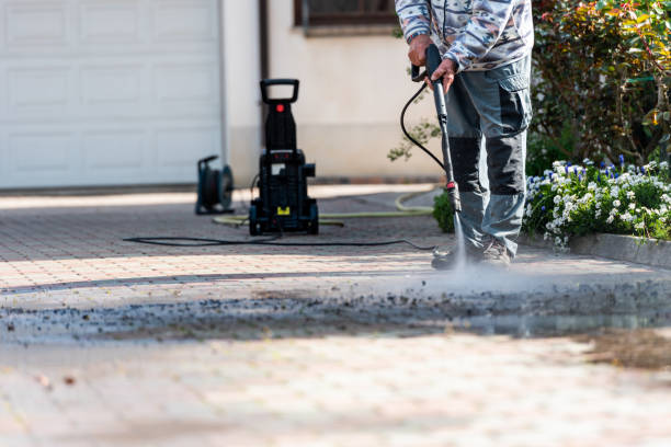 Best Power Washing Near Me  in Mango, FL