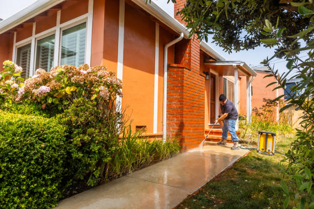 Best Residential Pressure Washing Services  in Mango, FL