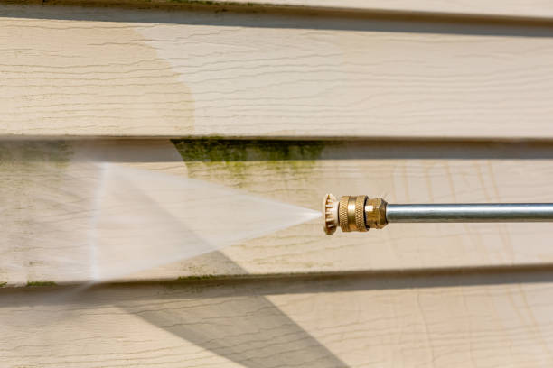Best Affordable Pressure Washing  in Mango, FL